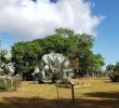 Jardin Botanique De tours Nouveau Jardin Botanique Cayenne 2020 All You Need to Know
