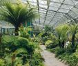 Jardin Botanique De tours Nouveau the David Welch Winter Garden Duthie Park In Aberdeen