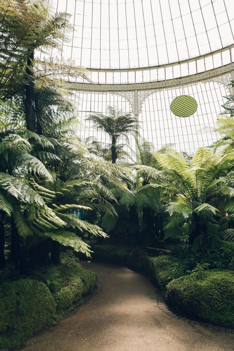 Jardin Botanique De tours Unique Inside Clapton Tram — A Plant Filled Warehouse Space