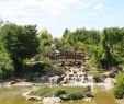 Jardin Botanique Dijon Best Of File Dijon Jardin Japonais 04 Wikimedia Mons