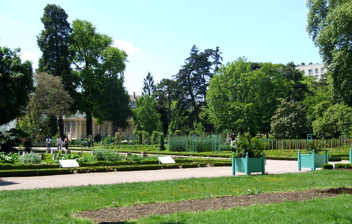 1200px Dijon Jardin de l Arquebuse Jardin botanique 3 JPG