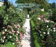 Jardin Botanique Dijon Frais File Jardin Botanique Dijon 005 Wikimedia Mons