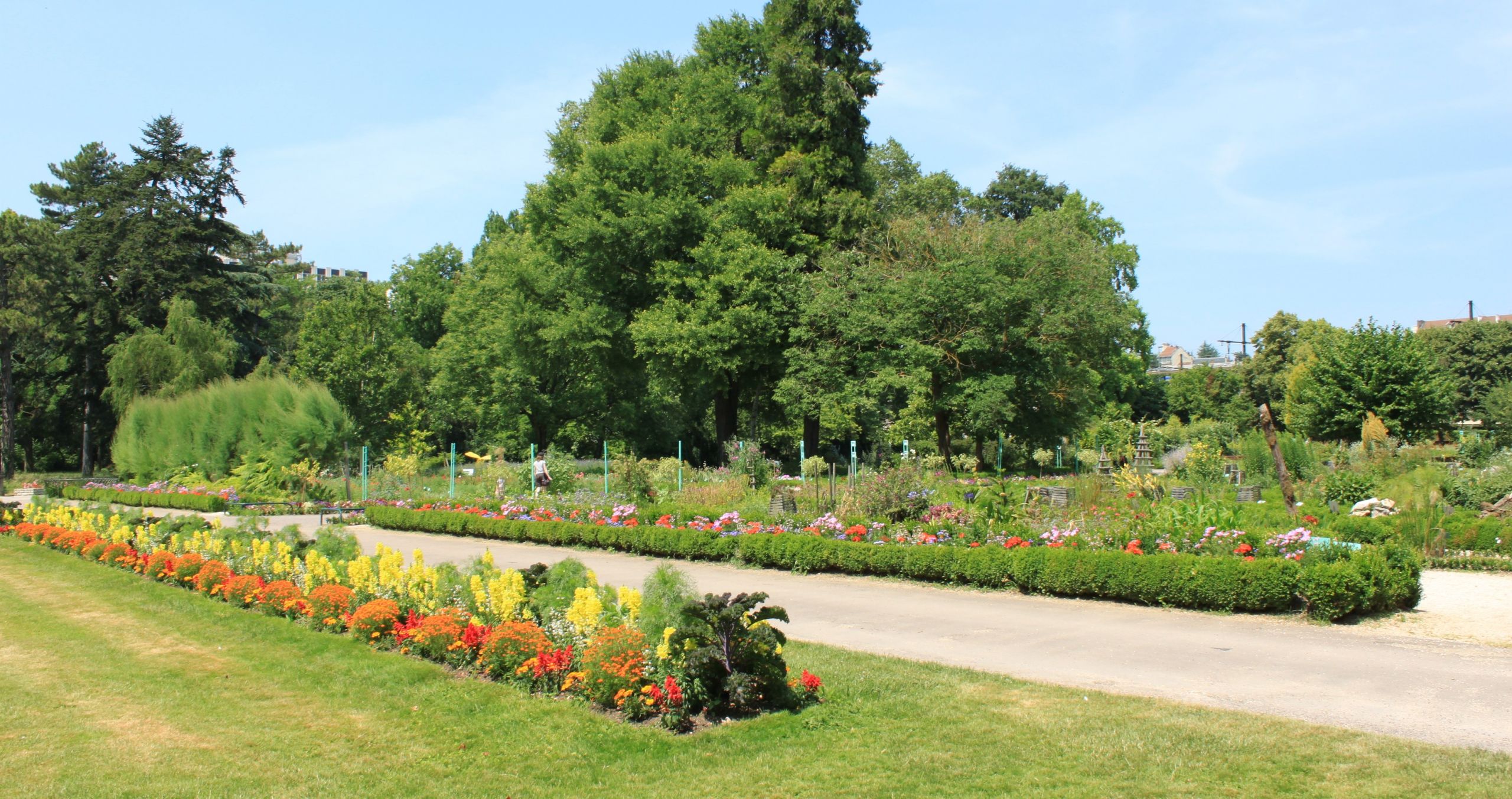 Dijon Jardin de l Arquebuse Jardin botanique X02 JPG