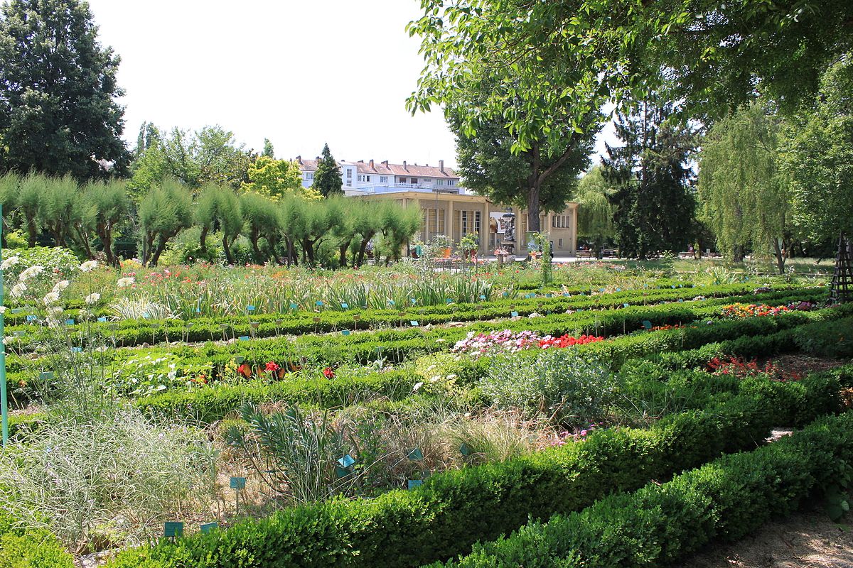 1200px Dijon Jardin de l Arquebuse Jardin botanique X05 JPG