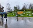 Jardin Botanique Geneve Beau Le Jardin Anglais Geneva 2020 All You Need to Know