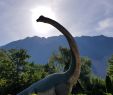 Jardin Botanique Geneve Best Of Dinoworld Versoix 2020 All You Need to Know before You