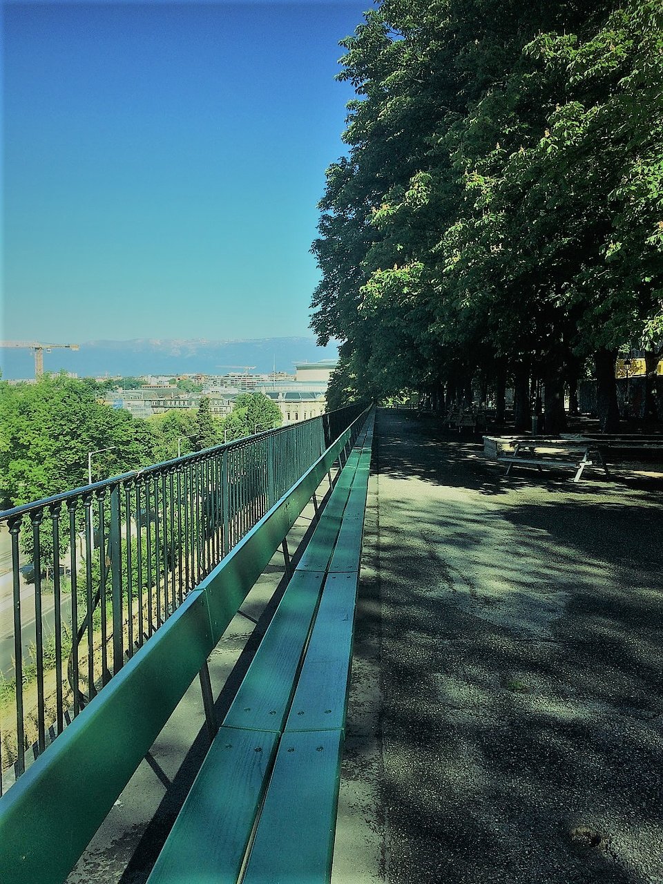 Jardin Botanique Geneve Charmant Banc De La Treille Geneva 2020 All You Need to Know