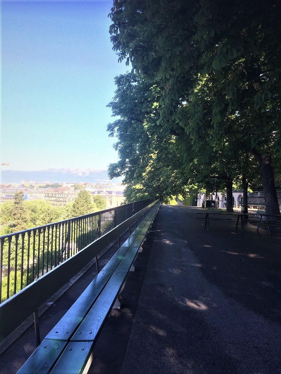 Jardin Botanique Geneve Unique Banc De La Treille Geneva 2020 All You Need to Know