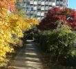 Jardin Botanique Inspirant S Strasbourg Page 4