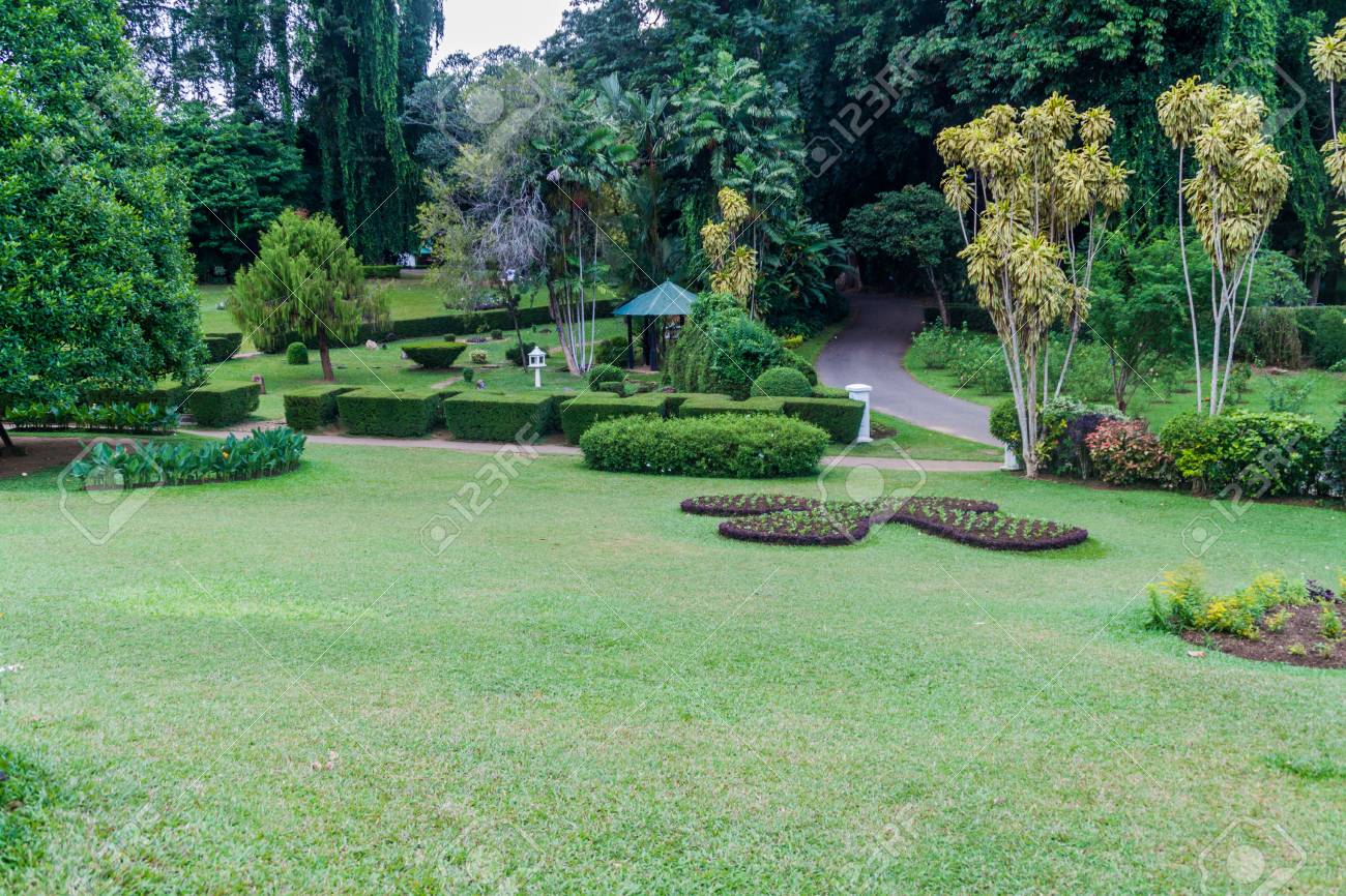 grounds of beautiful peradeniya royal botanical gardens near kandy sri lanka