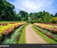 Jardin Botanique Kandy Best Of Jardin Botanico Peradeniya