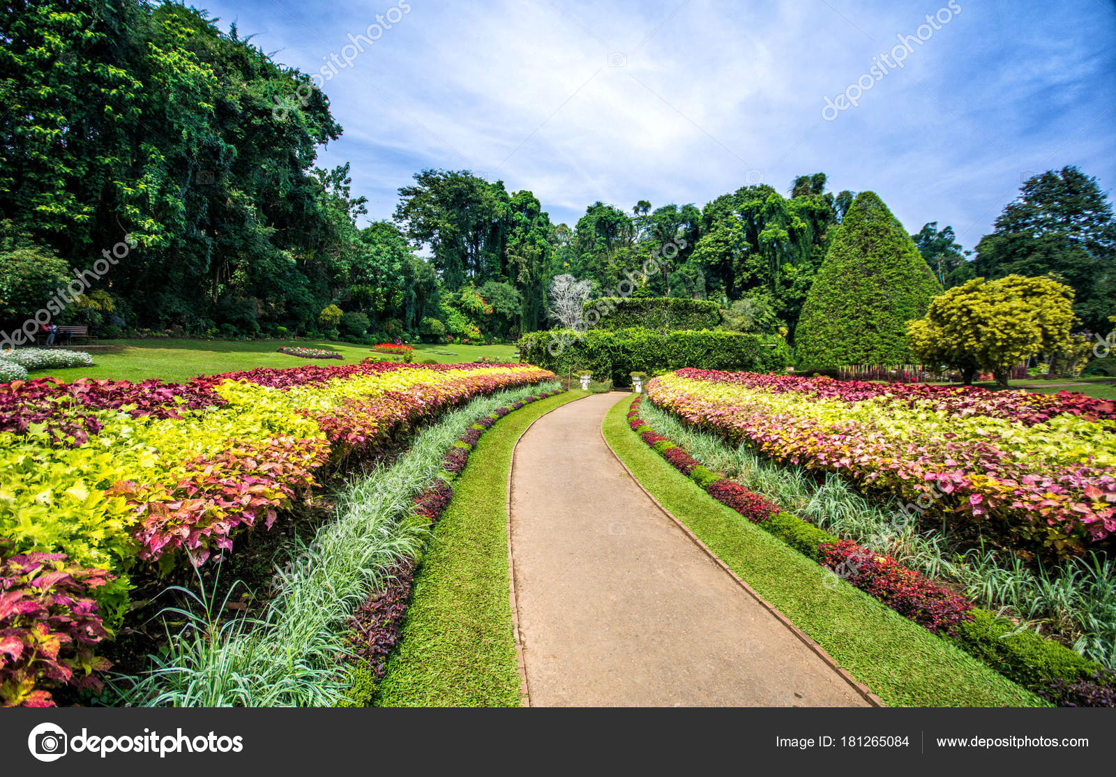 depositphotos stock photo botanical garden peradeniya kandy royal