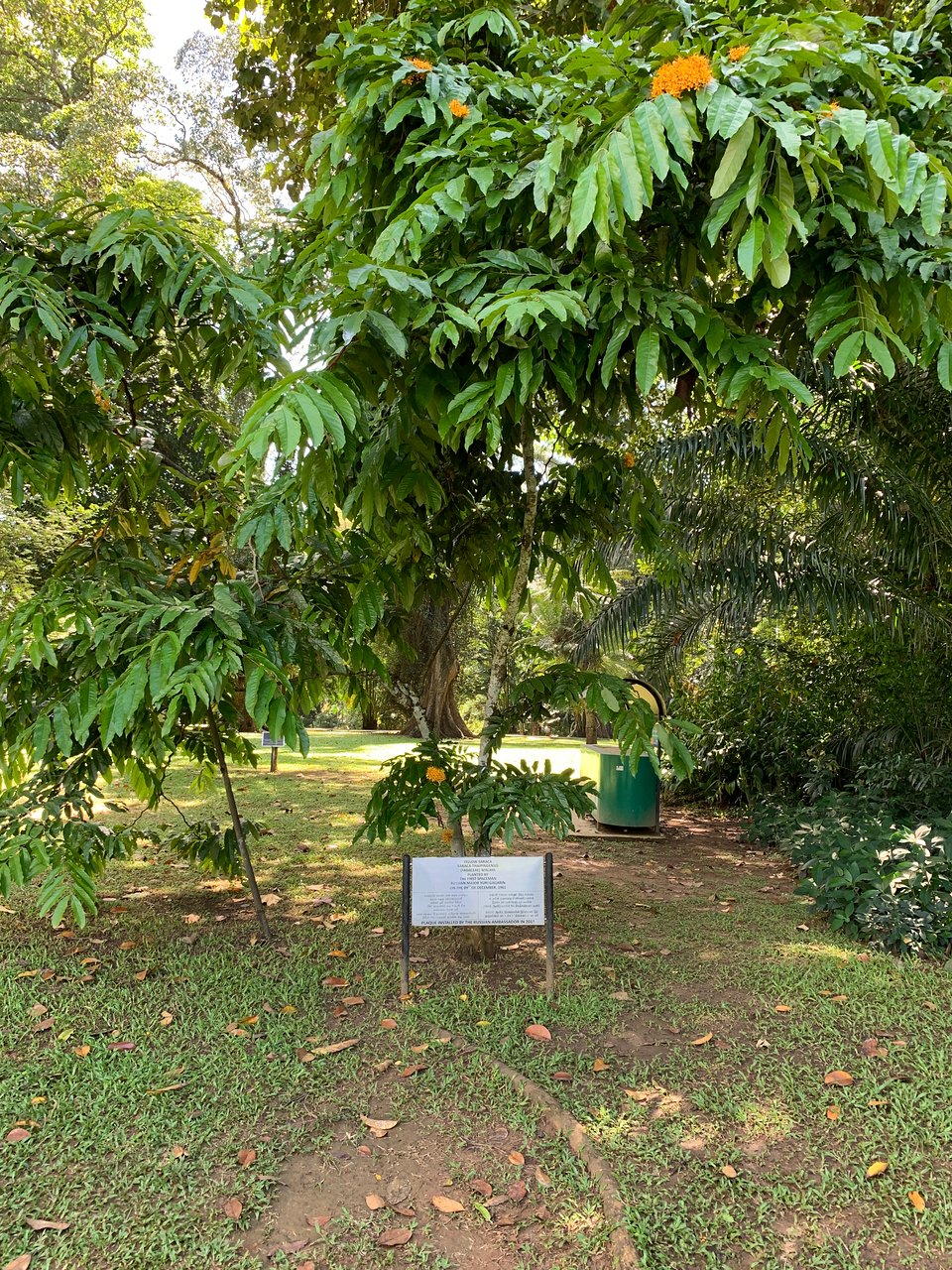Jardin Botanique Kandy Best Of Royal Botanical Gardens Peradeniya 2020 All You Need to