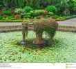 Jardin Botanique Kandy Charmant 100 [ Botanical Garden Peradeniya ]