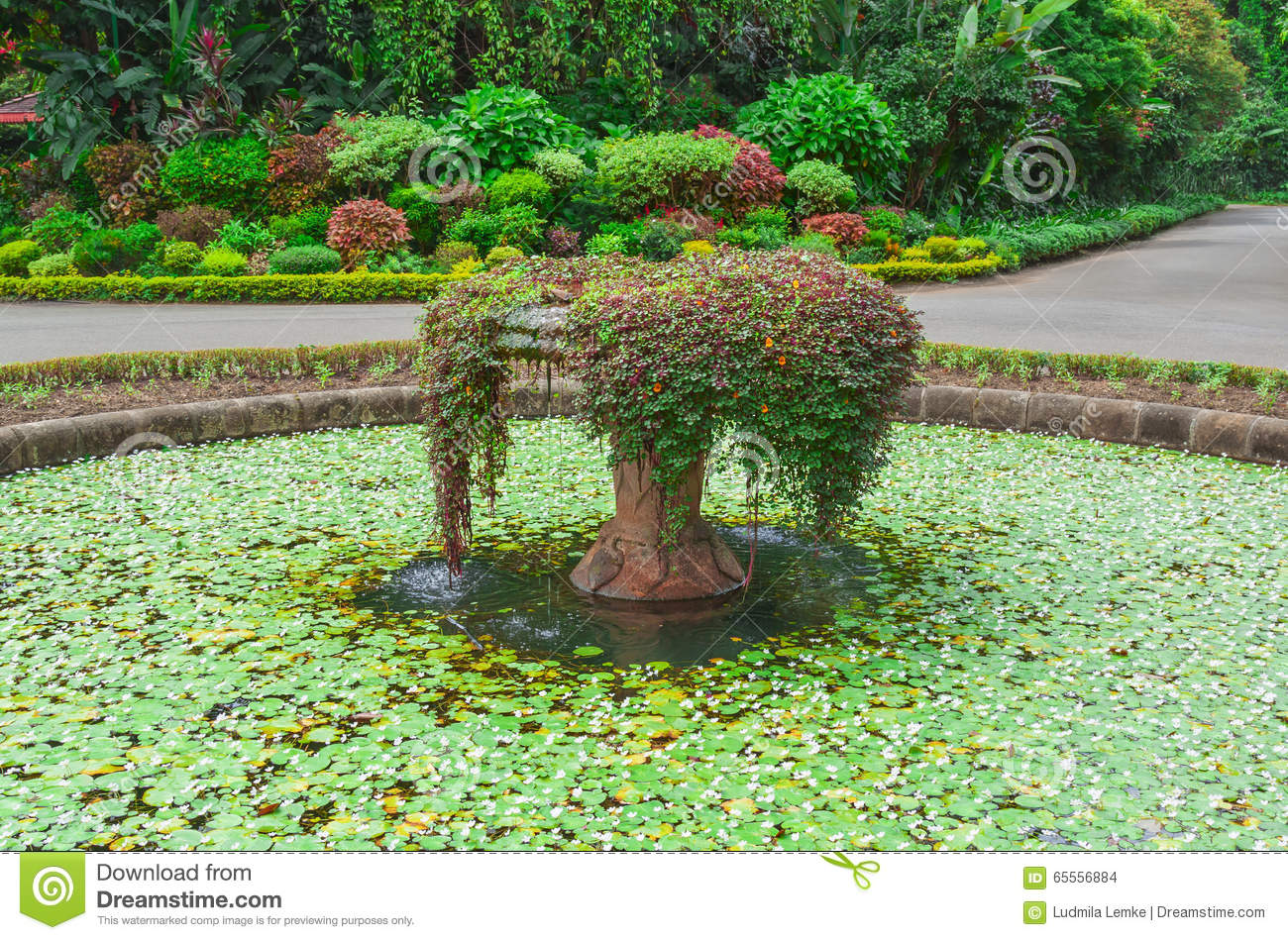 botanical garden kandy sri lanka beautiful fountain flower beds alley royal peradeniya