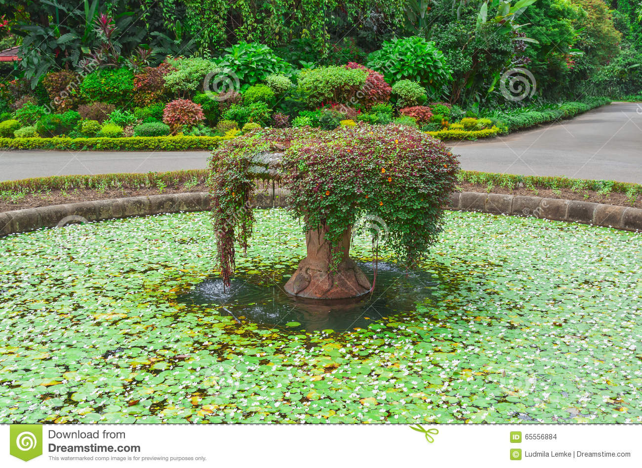 Jardin Botanique Kandy Charmant 100 [ Botanical Garden Peradeniya ]
