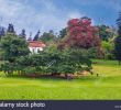 Jardin Botanique Kandy Charmant Flower Garden Peradeniya Kandy Stock S & Flower Garden