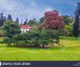 Jardin Botanique Kandy Charmant Flower Garden Peradeniya Kandy Stock S & Flower Garden