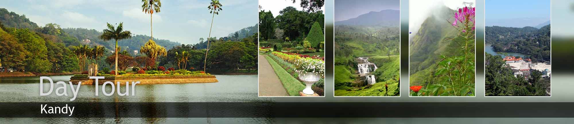Jardin Botanique Kandy Élégant 100 [ Botanical Garden Peradeniya ]