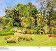 Jardin Botanique Kandy Élégant Jardin Botanico Peradeniya
