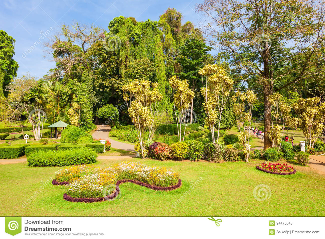 peradeniya royal botanic gardens kandy sri lanka february located near kandy city sri lanka