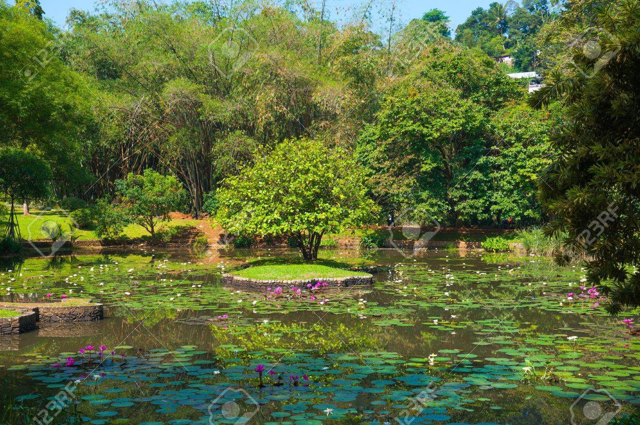 Botanical Garden landscape in Peradeniya Kandy Sri Lanka Stock