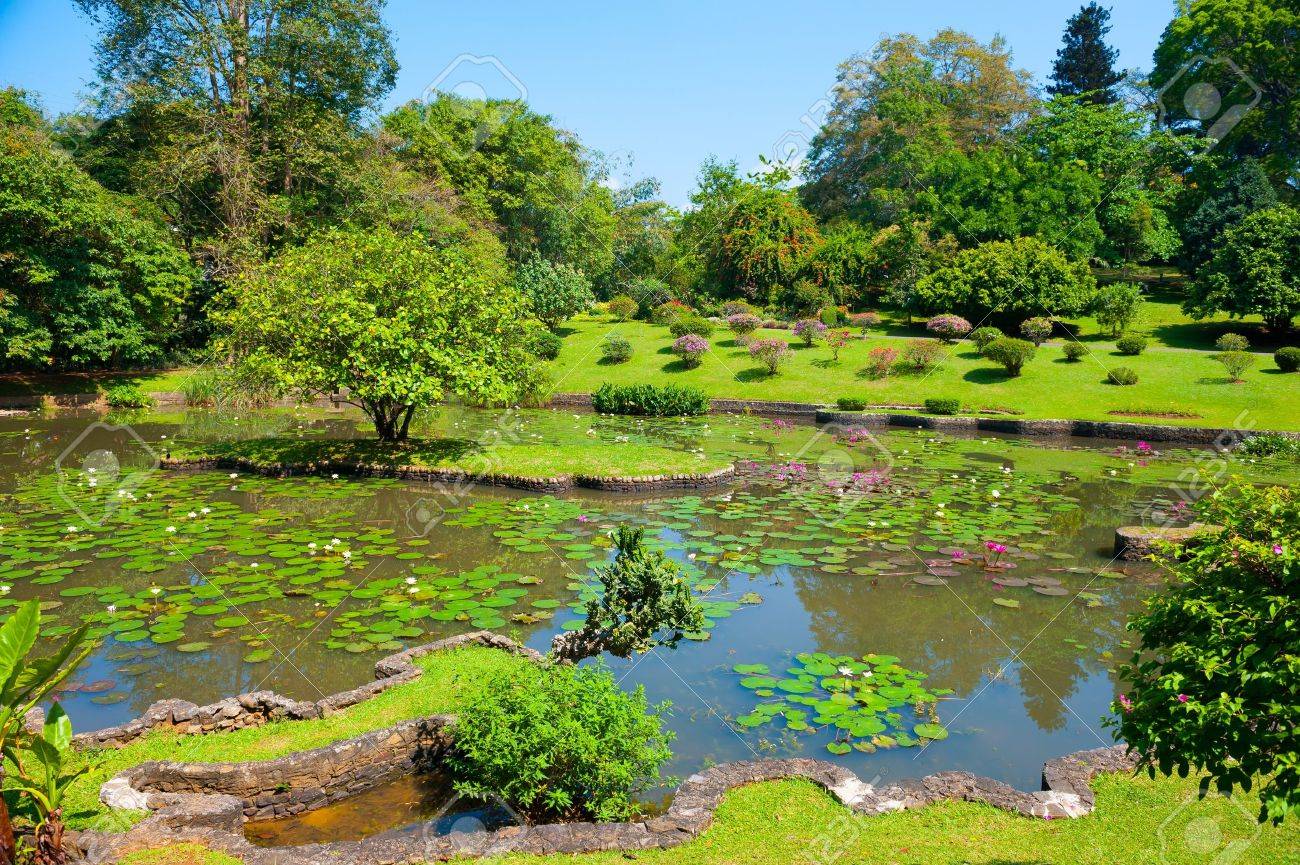 Botanical Garden landscape in Peradeniya Kandy Sri Lanka Stock