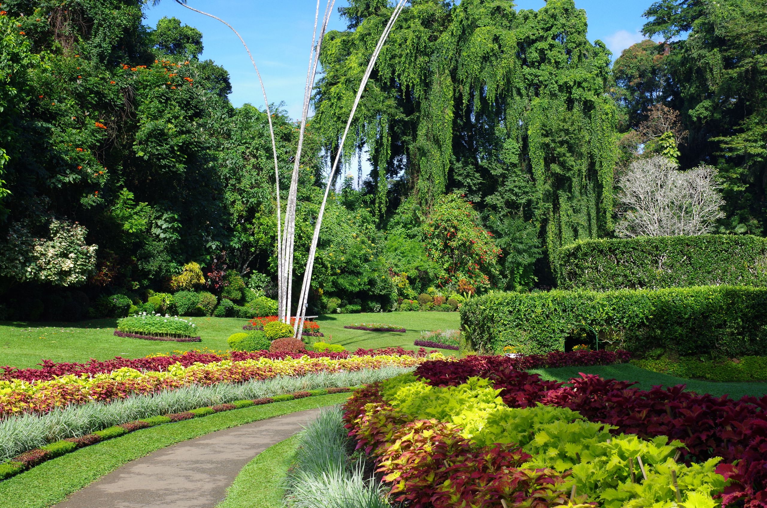 Jardin botanique de Peradeniya vue générale