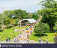 Jardin Botanique Kandy Génial the Ves Stock S & the Ves Stock Page 5 Alamy