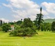 Jardin Botanique Kandy Inspirant 100 [ Botanical Garden Peradeniya ]