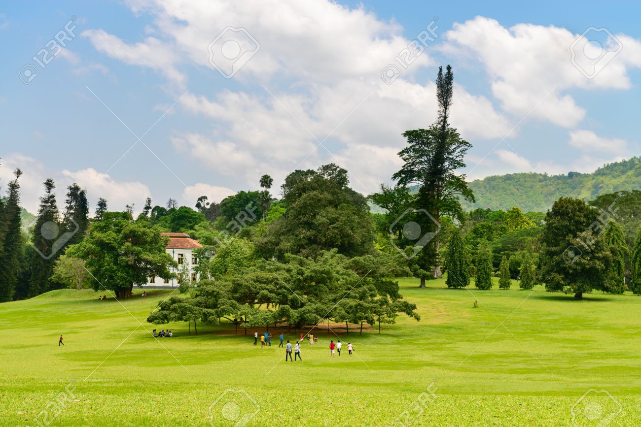 Beautiful tropical Royal Botanical Gardens Peradeniya Kandy Sri Lanka Stock