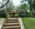 Jardin Botanique Kandy Inspirant Jardin Botanico Peradeniya