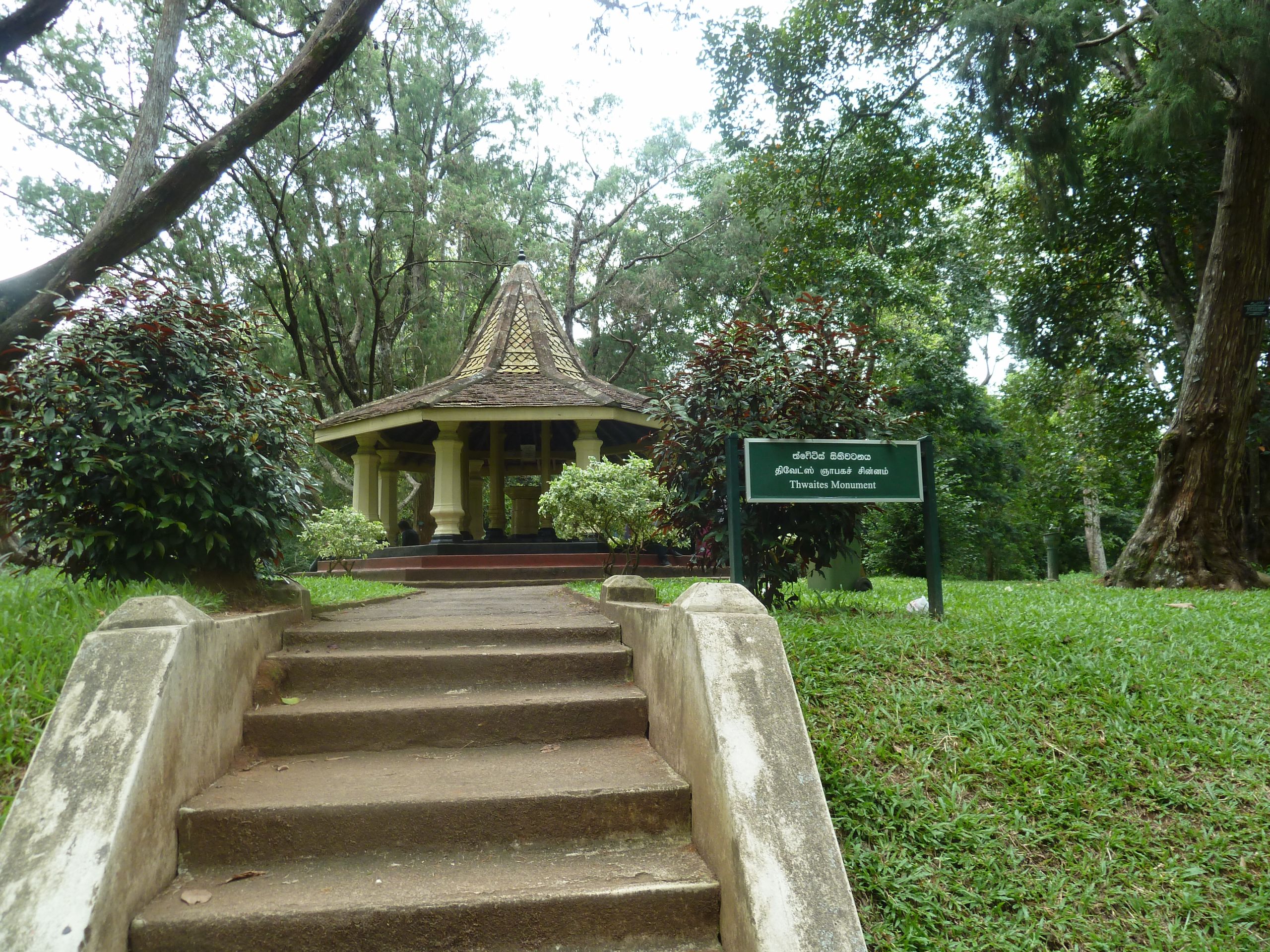Kandi jardin botanique de Peradeniya le parc 7 JPG