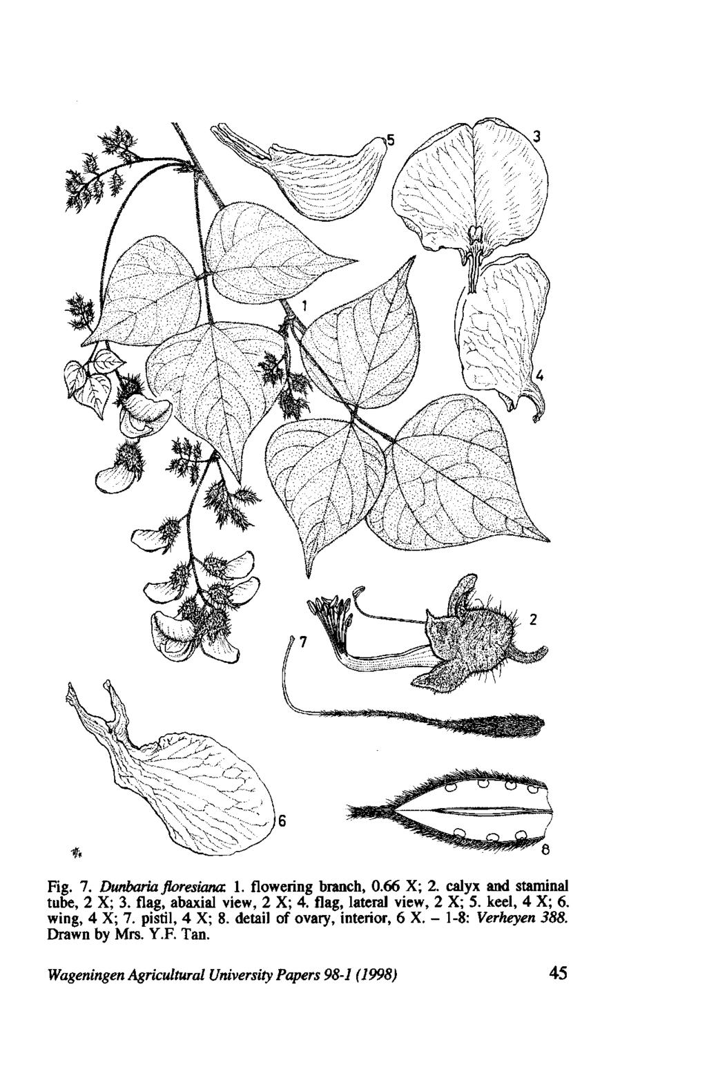 Jardin Botanique Kandy Luxe Revision Of thegenus Dunbaria Wight &arn Pdf Free Download