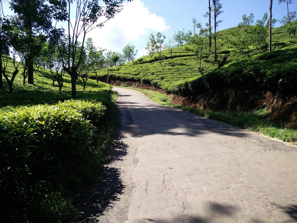 climbing little adams peak