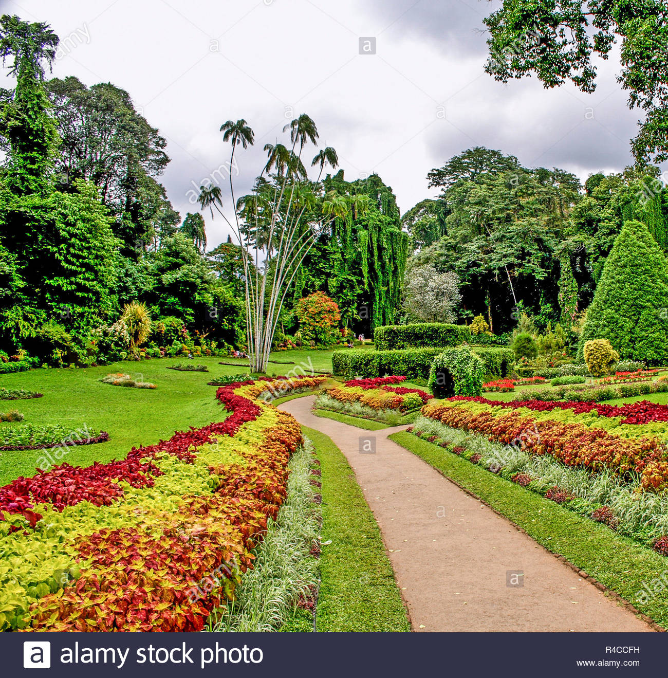 Jardin Botanique Kandy Nouveau Flower Garden Peradeniya Kandy Stock S & Flower Garden