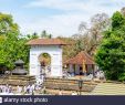 Jardin Botanique Kandy Nouveau the Ves Stock S & the Ves Stock Page 5 Alamy