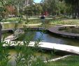 Jardin Botanique Lisbonne Beau Jardim Do Campo Grande Mario soares Garden Lisbon 2020