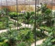 Jardin Botanique Lisbonne Charmant Estufa Fria Lisbonne 2020 Ce Qu Il Faut Savoir Pour