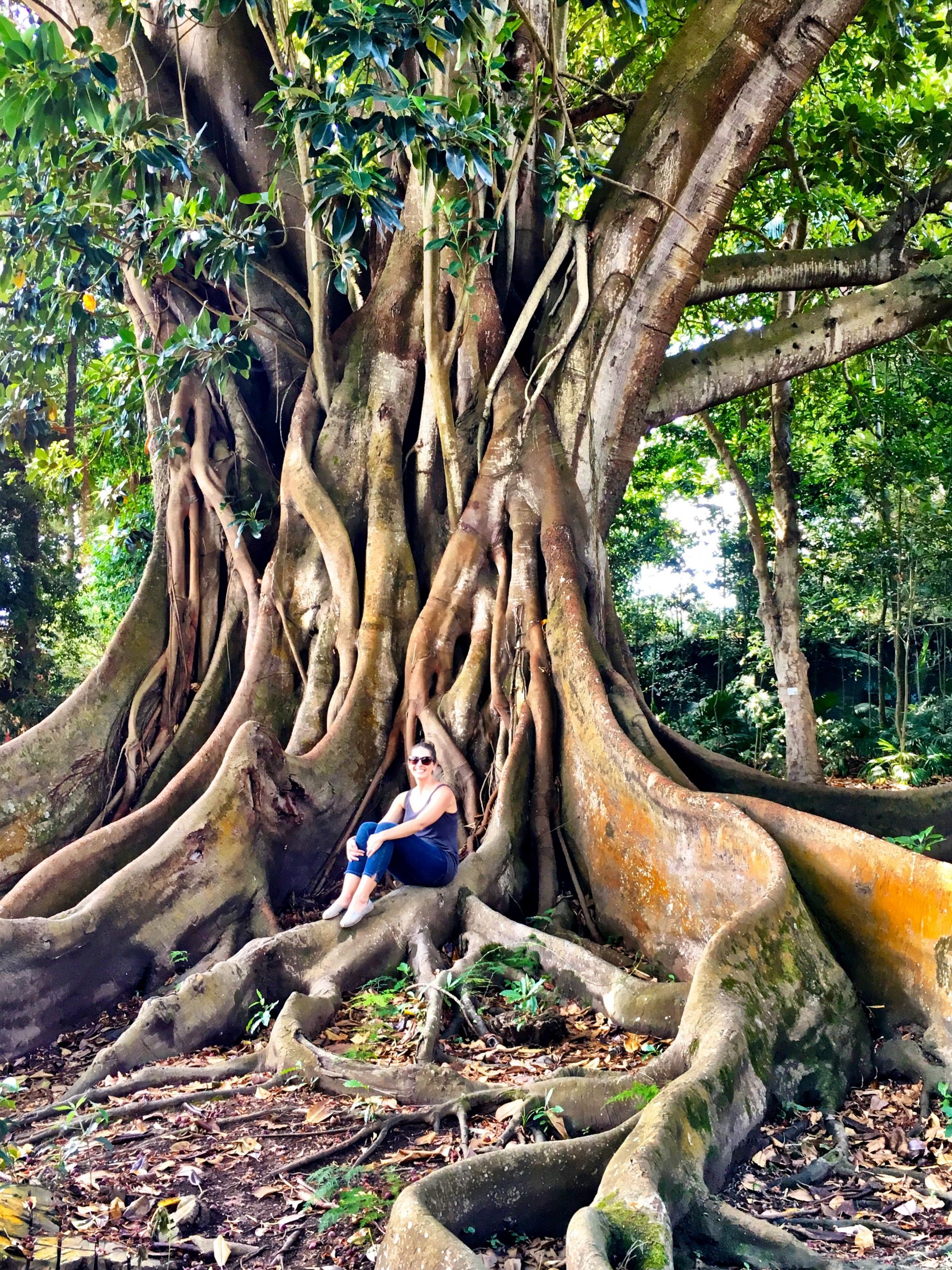 Jardin Botanique Lisbonne Frais Best Things to Do In Ponta Delgada Azores