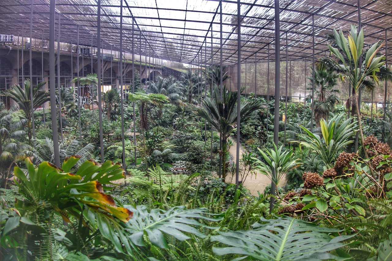 Jardin Botanique Lisbonne Frais Estufa Fria Lisbonne 2020 Ce Qu Il Faut Savoir Pour