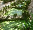 Jardin Botanique Lisbonne Génial File Lisbon Botanical Garden 28 Jpg Wikimedia Mons