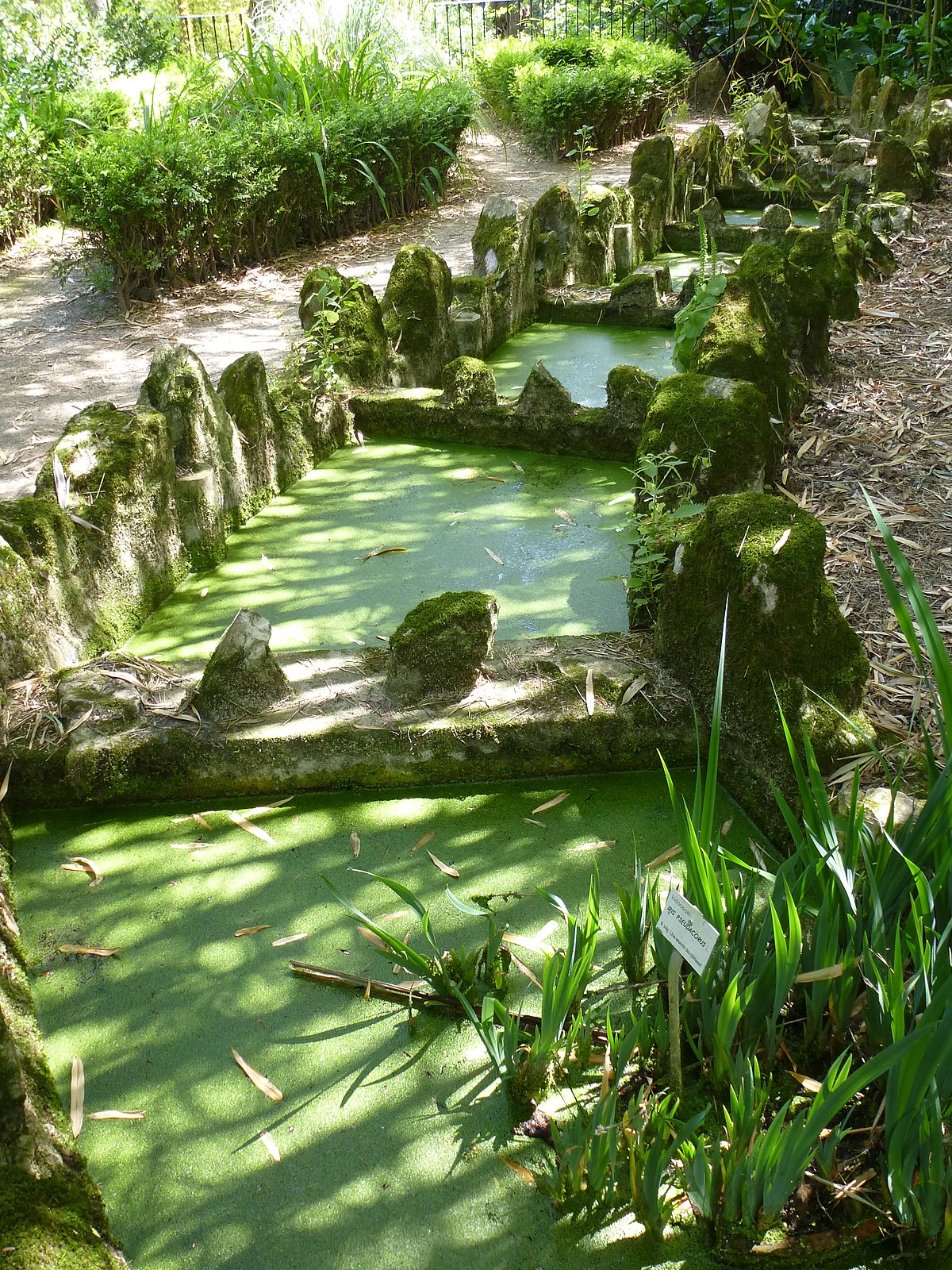 Jardin Botanique Lisbonne Génial File Lisbon Botanical Garden 28 Jpg Wikimedia Mons