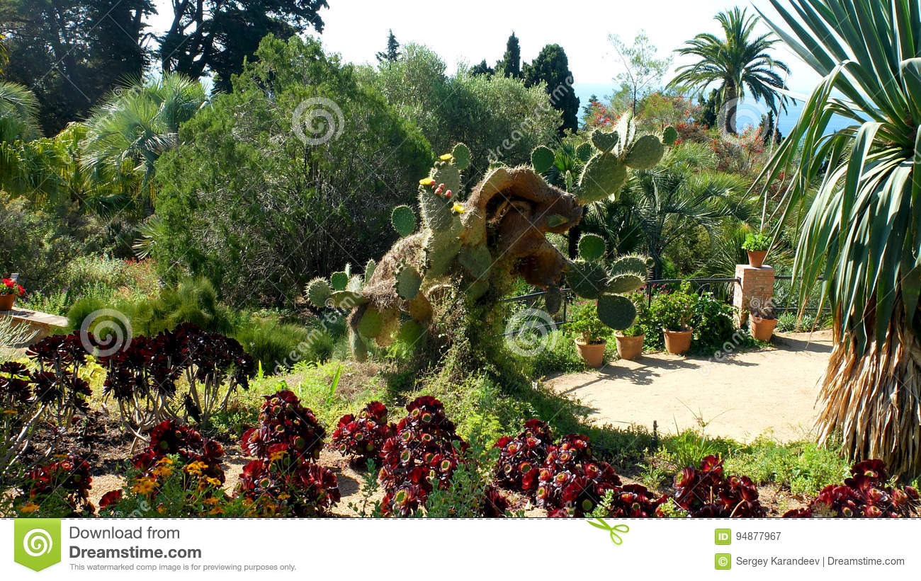 Jardin Botanique Marimurtra Beau Ogr³d Botaniczny Marimurtra Obraz Stock Obraz ZÅoÅ¼onej Z