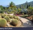 Jardin Botanique Marimurtra Best Of Marimurtra Botanical Gardens Stock S & Marimurtra