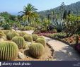 Jardin Botanique Marimurtra Best Of Marimurtra Botanical Gardens Stock S & Marimurtra