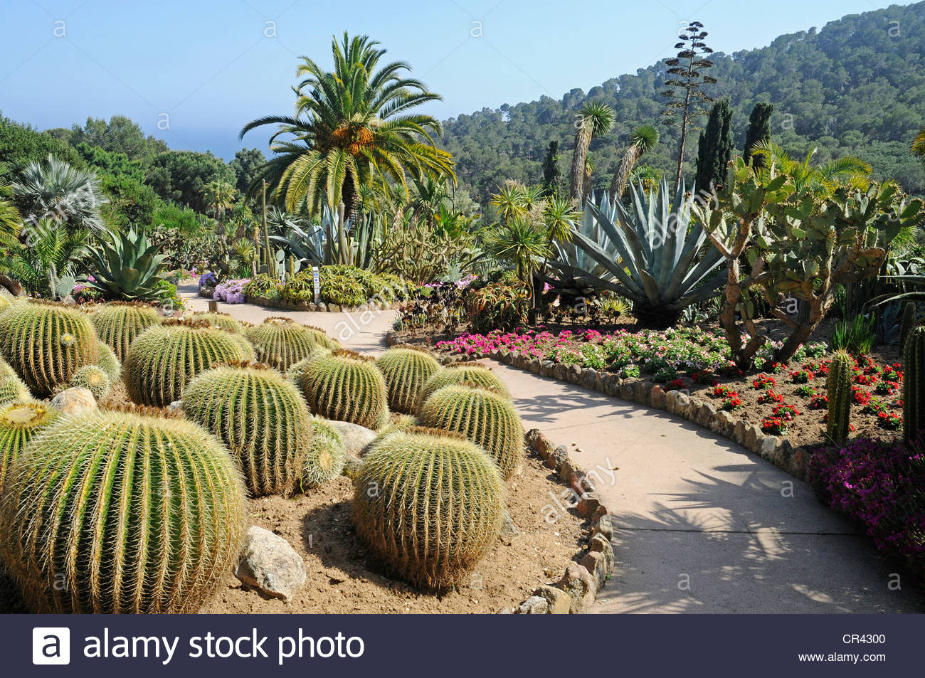 Jardin Botanique Marimurtra Best Of Marimurtra Botanical Gardens Stock S & Marimurtra