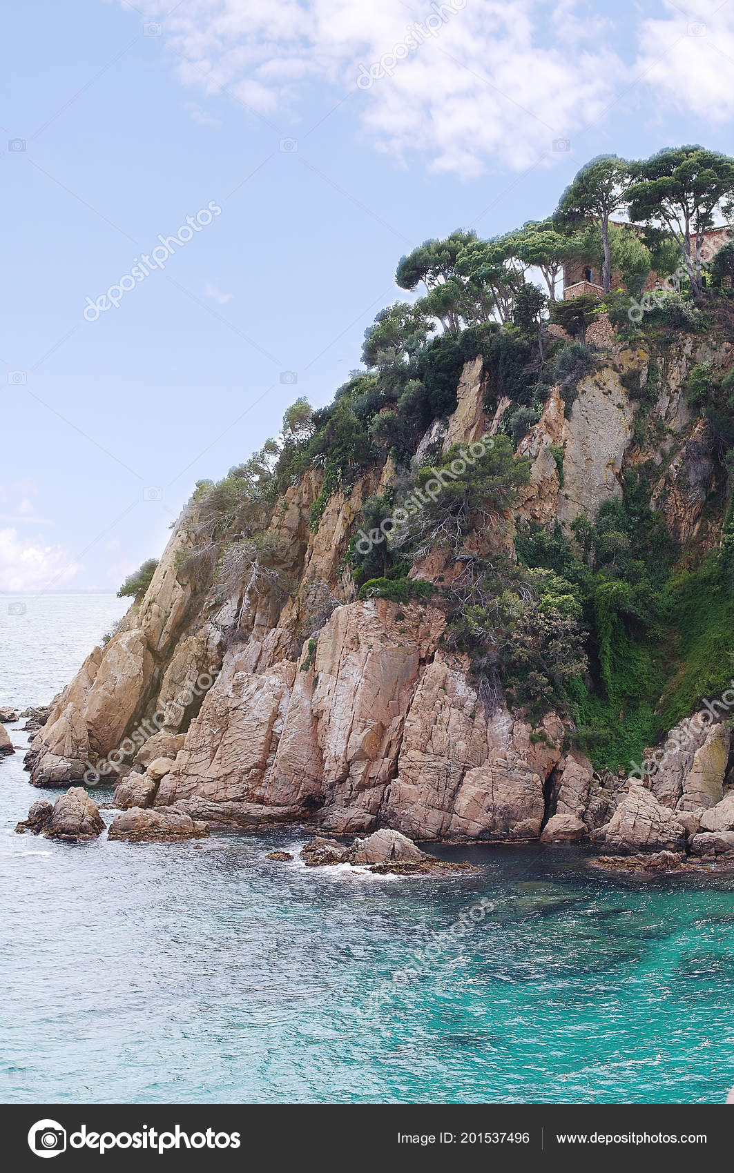 depositphotos stock photo view coastline botanical garden marimurtra