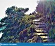 Jardin Botanique Marimurtra Génial Marimurtra Botanical Garden In Blanes Catalonia Spain Ray