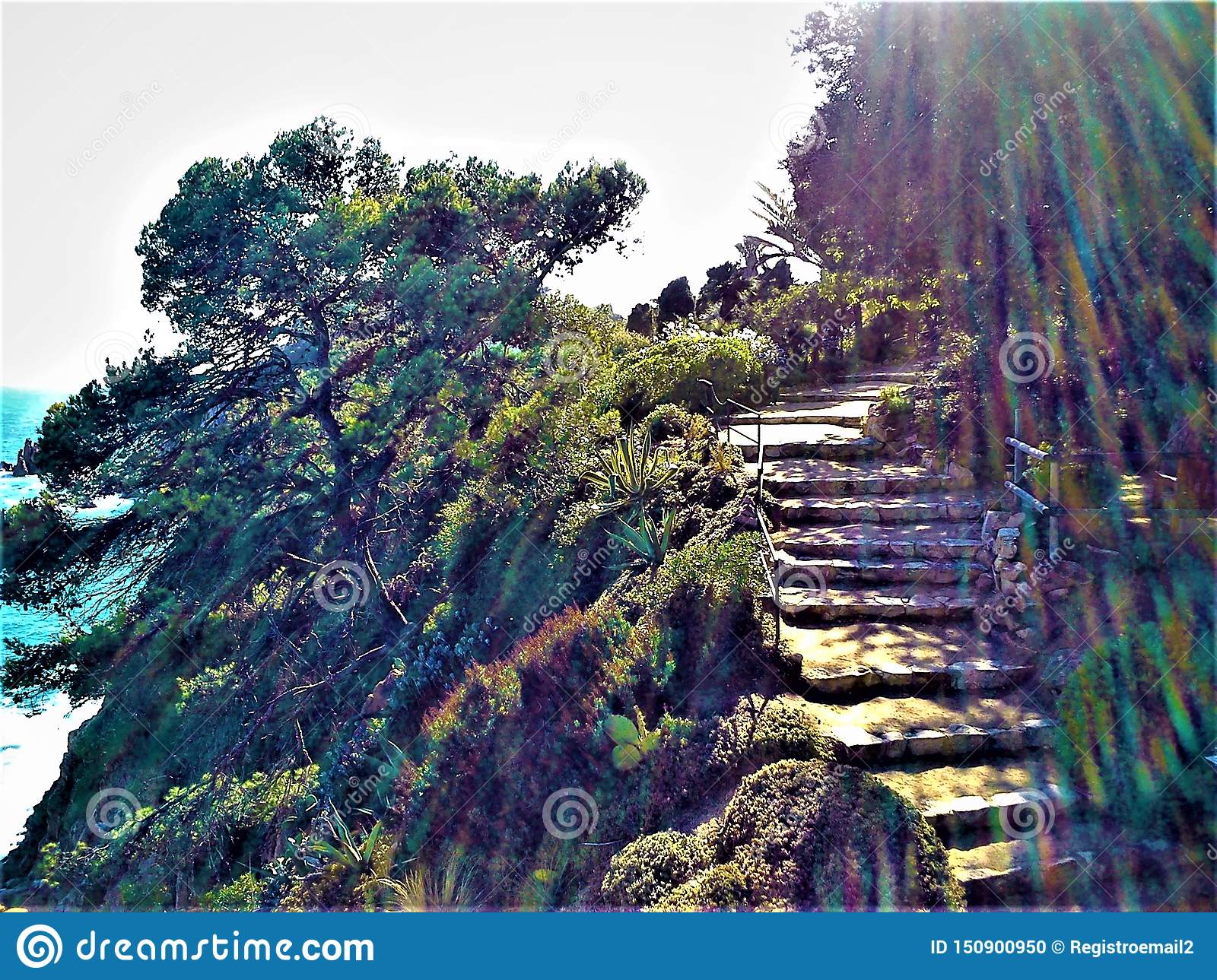 marimurtra botanical garden blanes catalonia spain ray colours light nature stairway to paradise fairytale costa brava